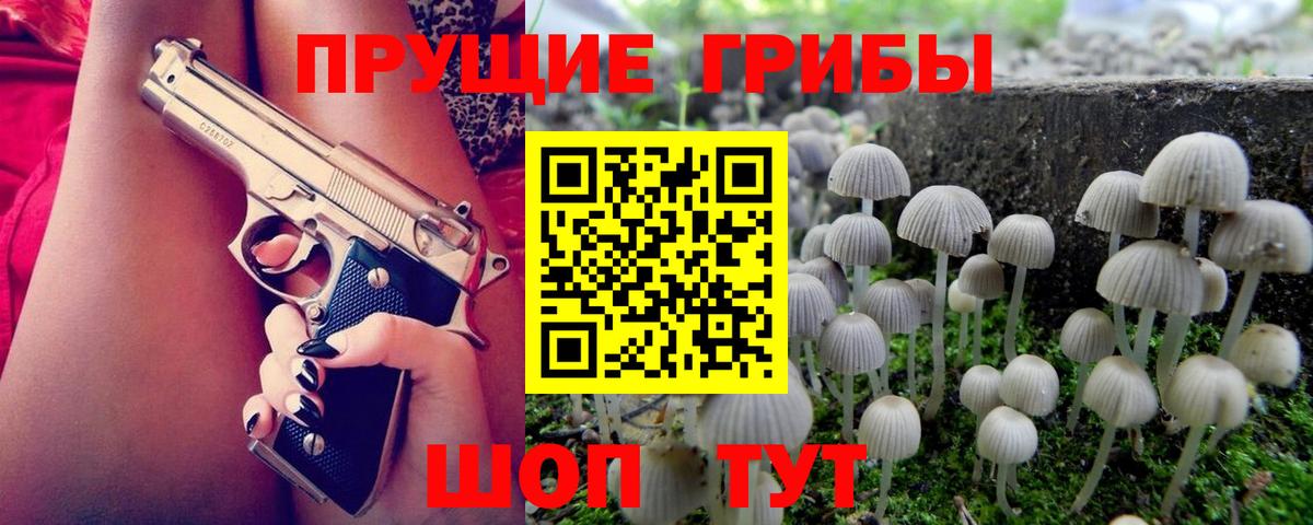 Галлюциногенные грибы Белорецк