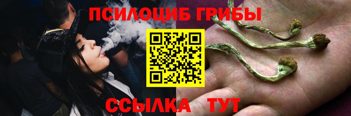 Белорецк  Галлюциногенные грибы Psilocybe  Галлюциногенные грибы GOLDEN TEACHER  Вход с VPN 
