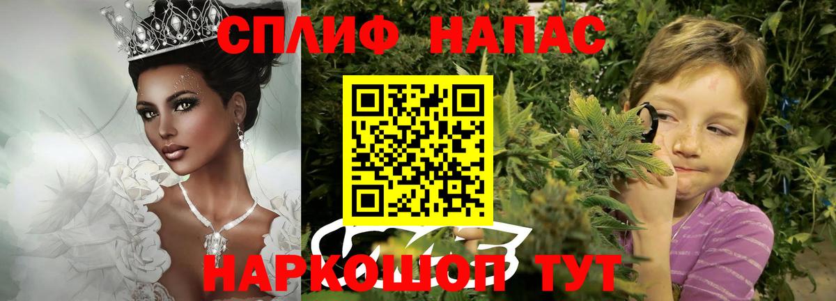 Канабис сатива  Бошки марихуана ГИДРОПОН  Вход с VPN  Бошки марихуана план  Марихуана AK-47  Белорецк 